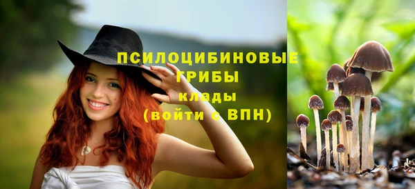 дурь Нефтегорск