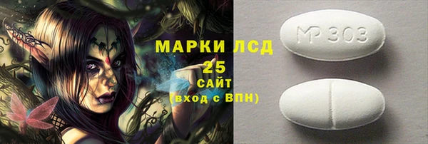 индика Няндома