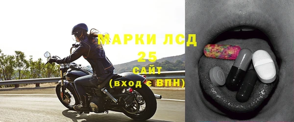 гашик Бикин