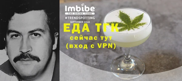 индика Няндома
