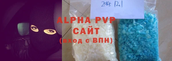 прущие грибы Билибино