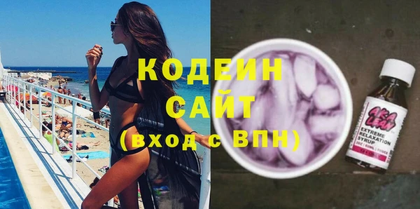 индика Няндома