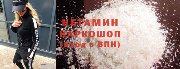 индика Няндома