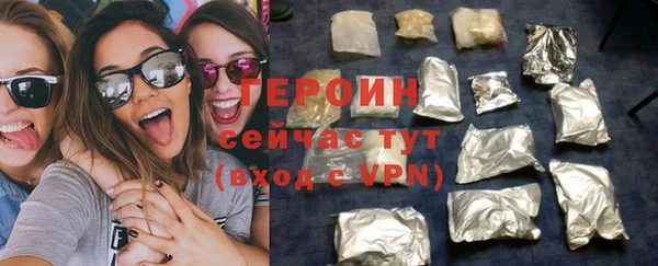 индика Няндома