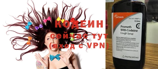 индика Няндома