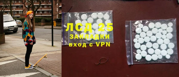 индика Няндома