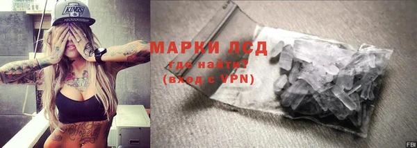 индика Няндома